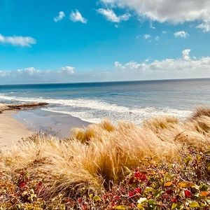 Meet your Posher, Ella